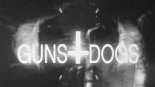 Watch Portugal The Man Guns  Dogs video