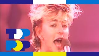 Watch Stray Cats Little Miss Prissy video