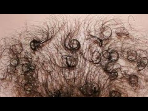 Волосатые вагины и многое другое