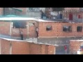 Tiroteo desde el cerro de caracas (Parodia) Pero Real
