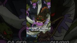 Le Fruit De Orochi Expliqué