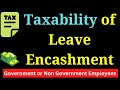 Leave Encashment is Taxable or Exempt II Section 10(10AA) (ii) II Leave Encashment II #cavedtaya