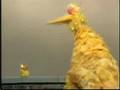 Big Bird Big Bird Around The World | RM. Big Bird Big Bird Around The World | RM.