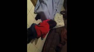 Brother & Sister Play Fighting Funny