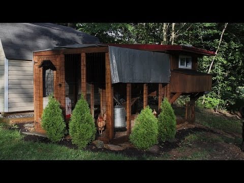Backyard chickens - Chicken coop and run updates - YouTube