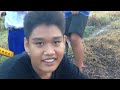 ตกปลาช่อน