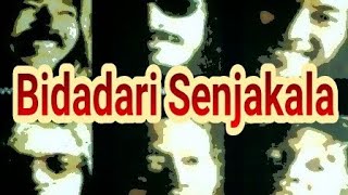 Watch Iwan Fals Bidadari Senja Kala video