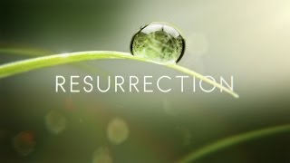 Watch Arise Resurrection video