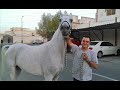 حسن عبدو وفريحة العبدالله