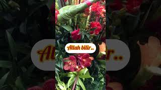 Sessiz Ağlar Ya İnsan Kimse Duymasın Diye Allah Duyar Allah Görür Allah Bilir