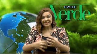 A sustentabilidade no contexto da indústria 2.0