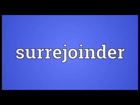 Header of surrejoinder