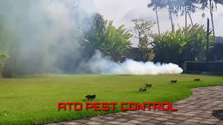 Asap fogging ubud bali 081916656177