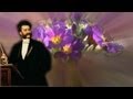 Wiener Blut (Walzer Music Musik) Johann Strauss (Viennese Waltz)