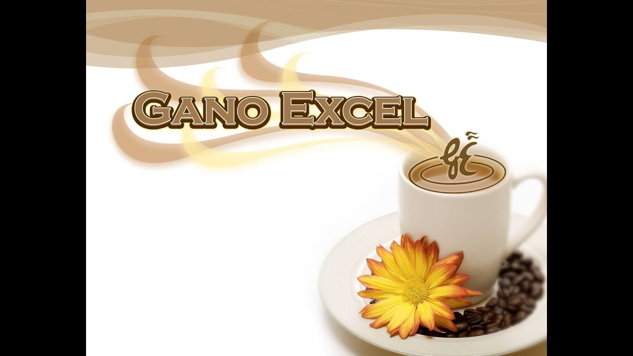 GANO EXCEL GANO EXCEL İŞ FIRSATI YouTube