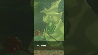 Ive Finally Collected All 900 Koroks In Breath Of The Wild...