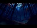 Solace Chill Mix images Solace Chill Mix
