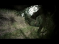 Lupus Video preview