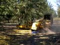 Almond Harvesting, Hulling, & Shelling