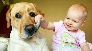 Ces bébés mignons feront fondre votre coeur - bébés drôles riant à la compilation d'ANIMAUX