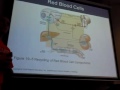 Red Blood Cell Life Cycle & Understanding Blood Types (SUNY-OCC Lecture: Part 2 of Unit 3)