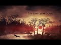 Stone Wings Video preview