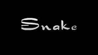 Snake - Interlude 22 Long Rifle