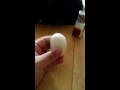 Nothing Better Than a Good Egg Part 2: Eggsperimental