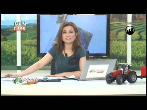 Tarımın Nabzı - `Arıcılık` - 07.03.2014 - 2.Kısım