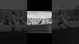 f33o2Bgblx8 Video Image