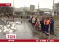 Видео Спасатели призывают подкармливать белых лебедей