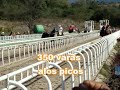 sicario vs nono.avi