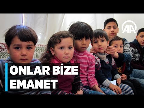 Anadolu Ajans Biz T Rkiye Yiz Anadolu Ajans Biz T Rkiye Yiz