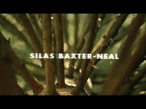 Video Vortex: Silas Baxter-Neal, Perpetual Motion