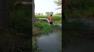 Tubewell Swimming In Village In Stanwhatsapp Number923134051995