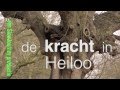 Trailer film "De Kracht In Heiloo"