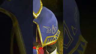 Royal Guard Link Cosplay With Fully Powered Master Sword