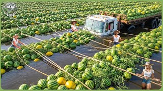 Les Machines Agricoles Modernes À Un Autre Niveau  Les Agriculteurs Récoltent Un Milliard De Ton...