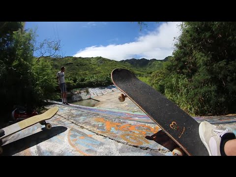 Secret Jungle Skate Spot!