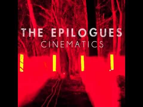 Animals Video