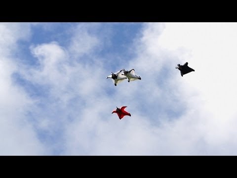Possibly The Best Wingsuit Flying Ever Captured On Video | HeliBASE 74 ep. 4 Possibly The Best Wingsuit Flying Ever Captured On Video | HeliBASE 74 ep. 4 klip izle