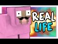 WHO IS PINK SHEEP IN REAL LIFE?? | Minecraft (Q&amp;A)