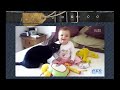 Самые смешные дети и животные кошки Самые смешные дети и животные кошки