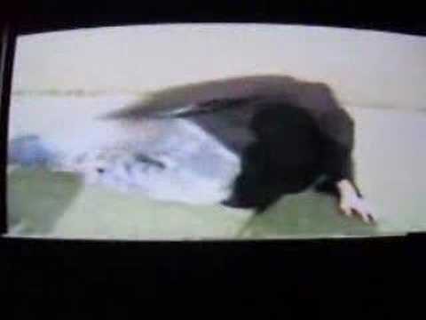 Fumes From The Swamp Video