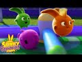 SUNNY BUNNIES - JUMP! | Season 7 COMPILATION | Cartoons for Children