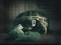 [Teenage Mutant Ninja Turtles - Официальный трейлер]