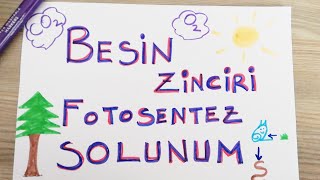 Besi̇n Zi̇nci̇ri̇ Fotosentez Solunum 8.Sinif Lgs 2021