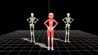 Mmd Asereje The Ketchup