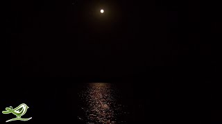 Спите У Озера Под Лунным Светом (4K) • Расслабляющие Звуки Природы