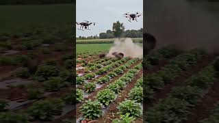 Drones Will Eliminate Wild Boars That Destroy Crops